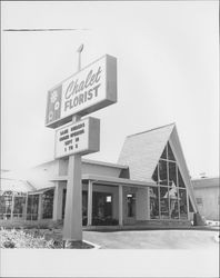 Chalet Florist, 311 Washington Street, Petaluma, California, 1961