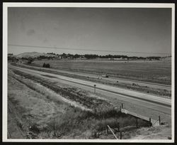 Highway 101 at Corona Road, Petaluma, California, about 1958