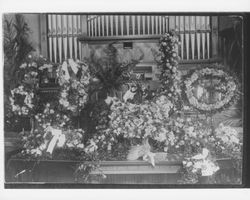 Display of flowers at the Congregational Church, Petaluma, California, 1903