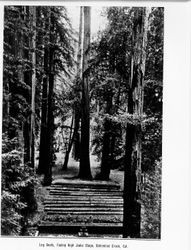 Log seats facing high jinks stage, Bohemian Grove, California