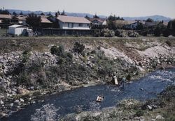 Boys playing in Santa Rosa Creek