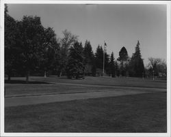 Juilliard Park, Santa Rosa, California, 1959