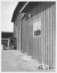 Northwestern Pacific Railroad engine house ("The Red Barn"), Point Reyes, California, 1964