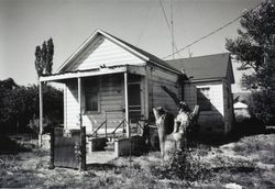 Front view of the Pracchia House, 167 Edith Street, Petaluma, California, shortly before demolition, July 1988
