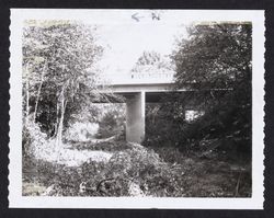 Santa Rosa Creek looking east under Farmers Lane bridge