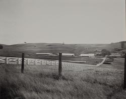 St. Anthony's Farm organic dairy, 11207 Valley Ford Road, Petaluma, California, 1964