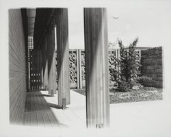 View of the library courtyard and redwood fence