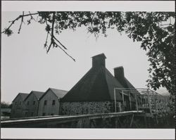 Hop kilns in Dry Creek or Alexander Valley, Sonoma County, California, early 1900s