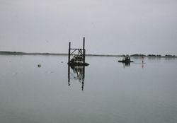 Channel markers in Bodega Bay