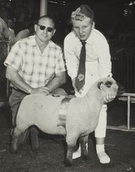 Pamela Wilford and her 4H Champion lamb at the Sonoma County Fair, Santa Rosa, California, July 1959