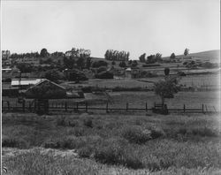 View of Bloomfield, California, looking north, , 1955