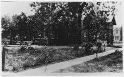 Unidentified two-story Craftsman-style home with a large garden and oak tree, located on an urban street, early 1900s