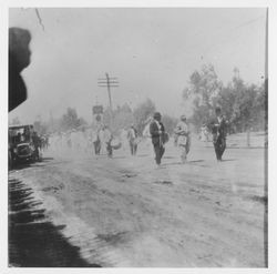 Unidentified bands in a Santa Rosa parade