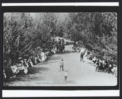 Sunday afternoon in the park, Sonoma, California, 1911