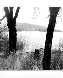 Lakeside view of Lake Ilsanjo