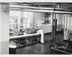 Unidentified man in the cheese room at the California Cooperative Creamery, about 1982