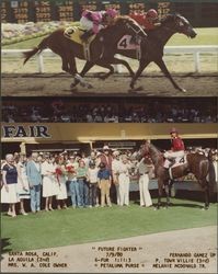 Future Fighter winning the Petaluma Purse, Santa Rosa, California, July 9, 1980