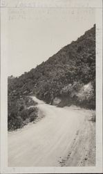 Section of road between Mark West Spring and Petrified forest