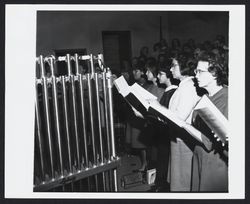 Sonoma County Chorus