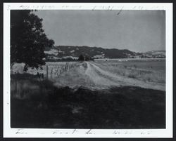 Golden West Poultry Farms