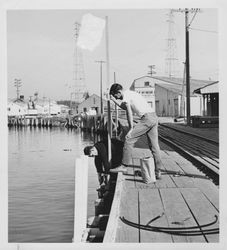 Turning basin, Petaluma, California, about 1962