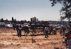 Horse and wagon at Ragle Ranch at the Gravenstein Apple Fair, Sebastopol, Calif., 1979