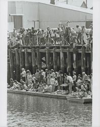 Spectators at the Old Adobe and Petaluma River Festival of 1986