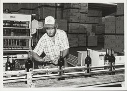 Jim Neumiller works the labeling machine at the Seghesio Winery