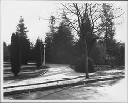 Snow-covered sidewalk in Juilliard Park, Santa Rosa, California, 1953