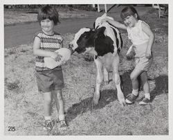 Girls with Holstein calf at the Sonoma County Fair, Santa Rosa, California