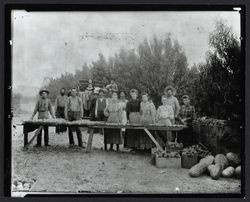 Peach pickers at a farm near Kenwood