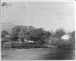 Farm in Sonoma Valley