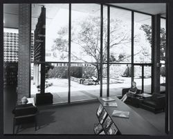 View of Courtyard and Box Elder tree