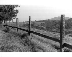 Petaluma Golf and Country Club grounds and building