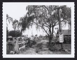 Looking north to rip rap inlet east side of Ray property line fence at 1949 Terry Road