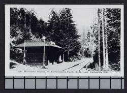 Montesano Station on Northwestern Pacific R. R. near Guerneville, California