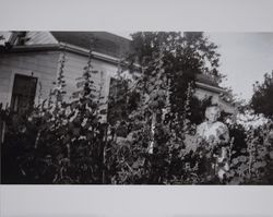 Mary Jane Goodwin in her garden, Petaluma, California, 1950s