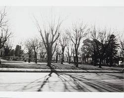 Walnut Park in Petaluma, California, about 1954