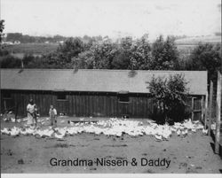 Susana Nissen (Susan Gray Nissen) with her son Russell Nissen feeding chickens, Petaluma, California, about 1920