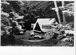 Camp in Guernewood Park, near Guerneville