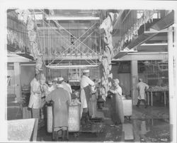 Workers loading chicken line at the California Poultry, Incorporated, Fulton, California, 1958