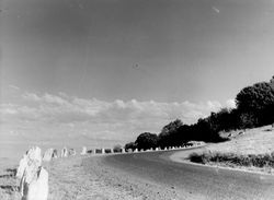 Highway 1 near Bodega Bay, Bodega Bay, California, 1970