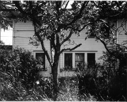 Masciorini Ranch house located southeast of Petaluma, California, July, 2005, showing northwest side