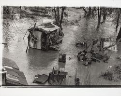 Sebastopol's hobo jungle during a flood