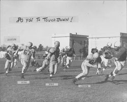 Leghorns beat Hamilton Air Force Base 33-7 in Egg Bowl, Petaluma, California, Nov. 23, 1952