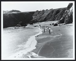 Net fishing in the Pacific Ocean near Jenner