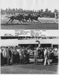 French Policy winning the Inaugural Purse, Santa Rosa, California, July 15, 1968