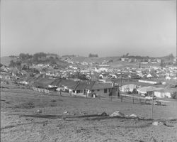 Views of Petaluma from La Cresta Hill, Petaluma, California, 1954