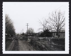 South side of Blue Bell Drive, Santa Rosa, California, looking east, Feb. 8, 1968