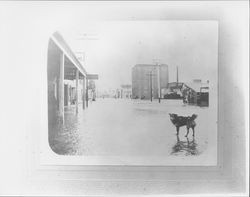 Flood waters filling Washington Street near the Golden Eagle Flour Mill, Petaluma, California, about 1912